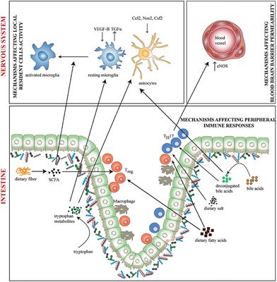 Emerging Role of Diet and Microbiota Interactions in Neuroinflammation